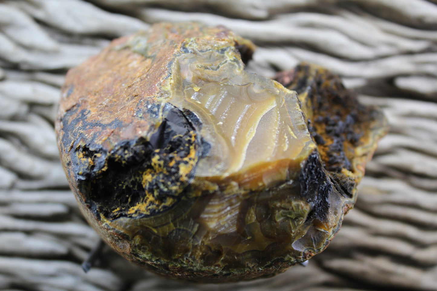Lilangabi agate 87 mm – natural nodule rind with perimorph structures, Eswatini | SKU LIL00004