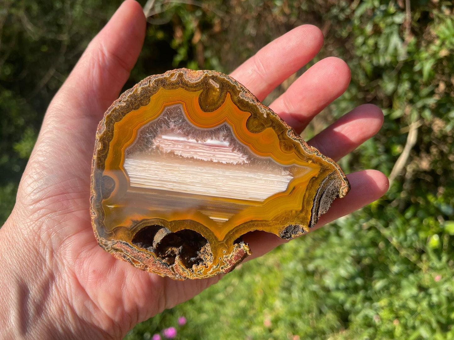 Lilangabi agate 87 mm – in-hand size reference, fortification banding and waterline features visible, Eswatini | SKU LIL00004