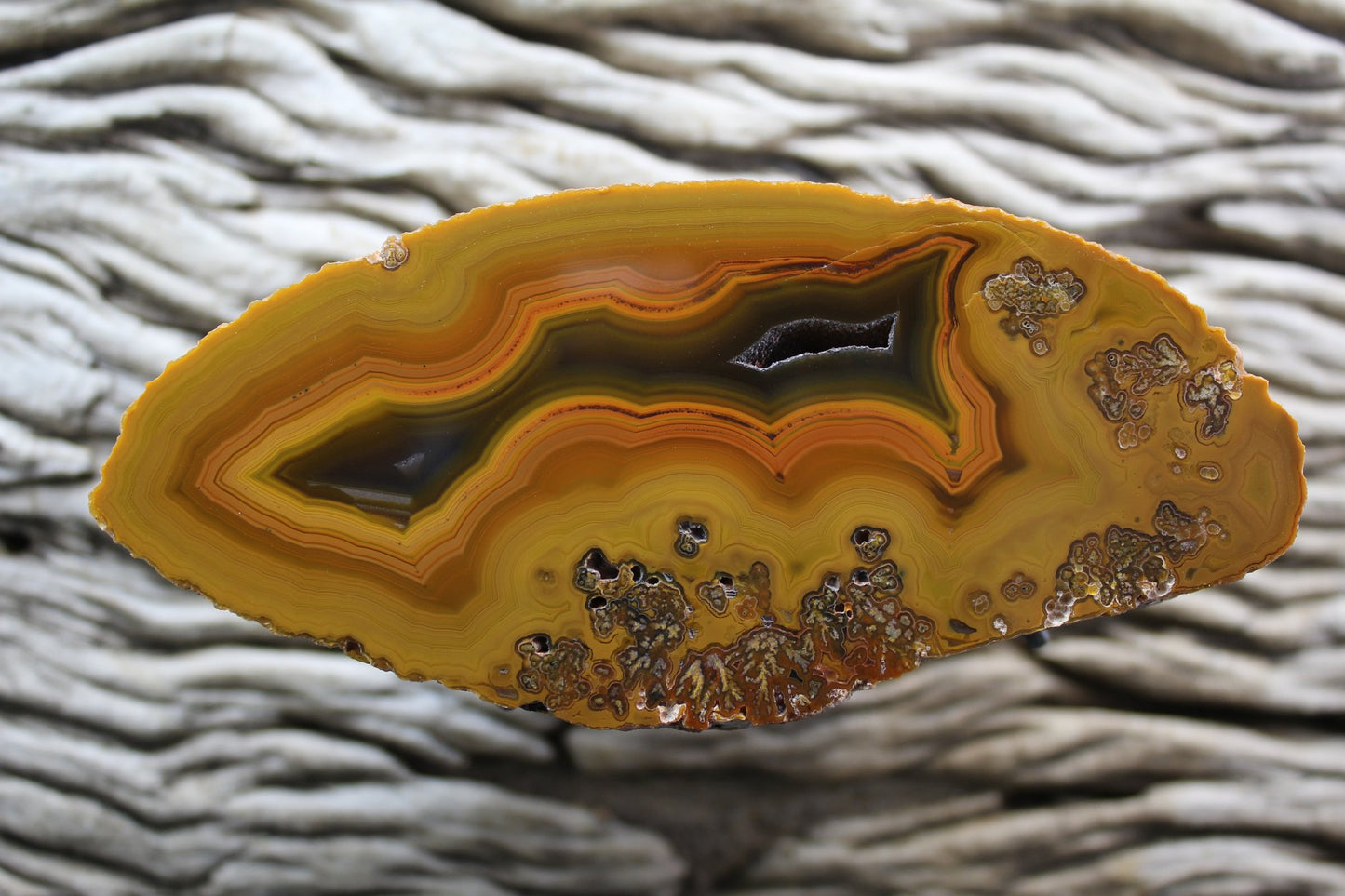 Lilangabi agate 112 mm – front face, chromatism, fortification banding, waterline features, open druzy vug and plume inclusions, Eswatini | SKU LIL00006