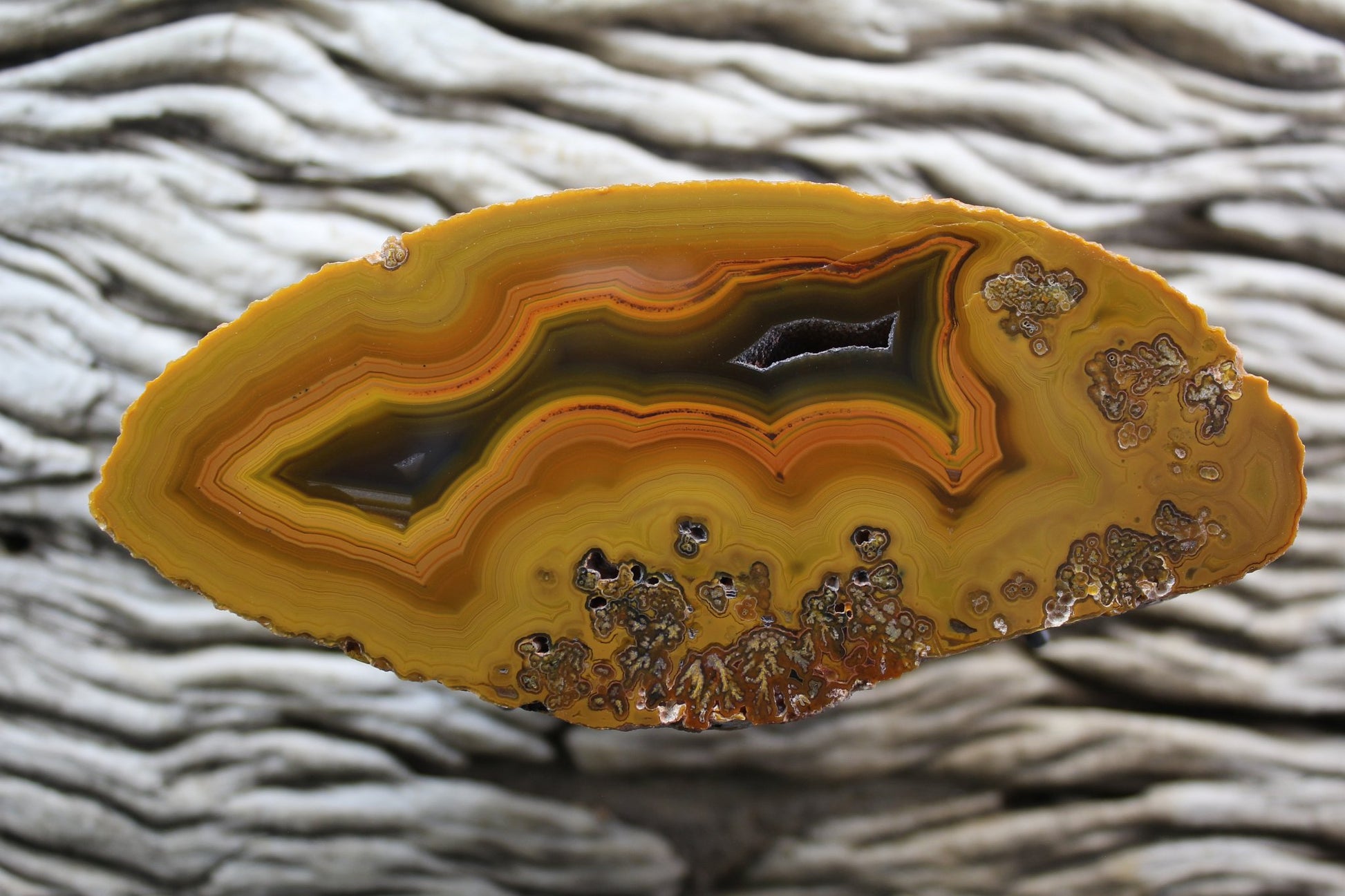 Lilangabi agate 112 mm – front face, chromatism, fortification banding, waterline features, open druzy vug and plume inclusions, Eswatini | SKU LIL00006