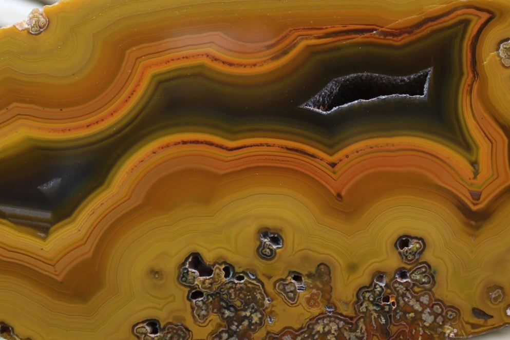 Lilangabi agate 112 mm – close-up of scalloped banding, open druzy vug and plume inclusion field, deep amber-to-golden chromatism | SKU LIL00006