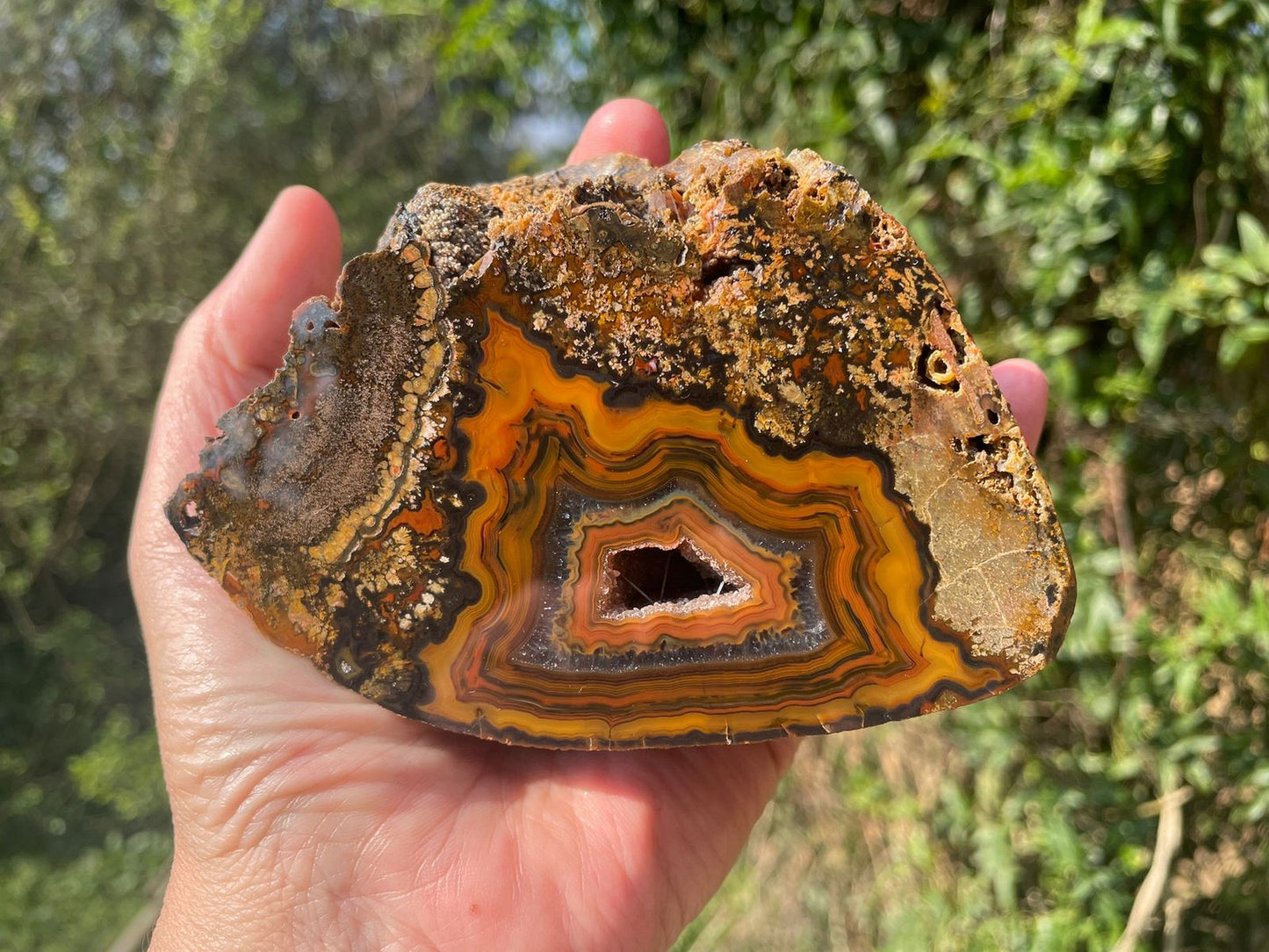 Lilangabi agate 114 mm – in-hand size reference, floater and fortification banding visible, Eswatini | SKU LIL00007