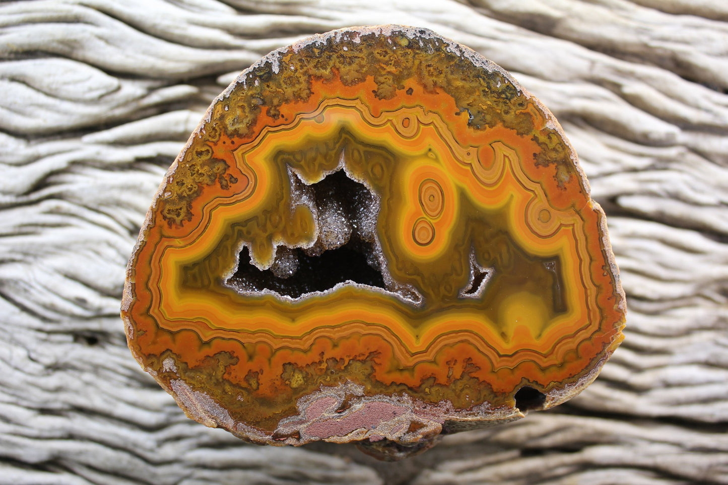 Lilangabi agate 107 mm – front face, eyes incl. rare double eye, chromatism, open druzy vug, scalloped banding and perimorphs, Eswatini | SKU LIL00011