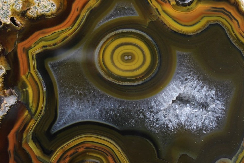 Lilangabi agate 105 mm – close-up of bullseye, fortification banding in tangerine-orange and near-black, plume inclusions in chalcedony ground | SKU LIL00002
