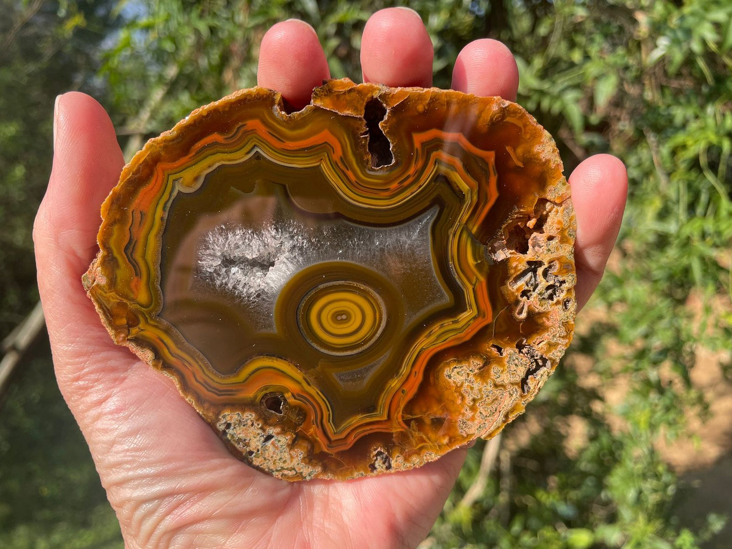 Lilangabi agate 105 mm – in-hand size reference, bullseye and fortification banding visible, Eswatini | SKU LIL00002