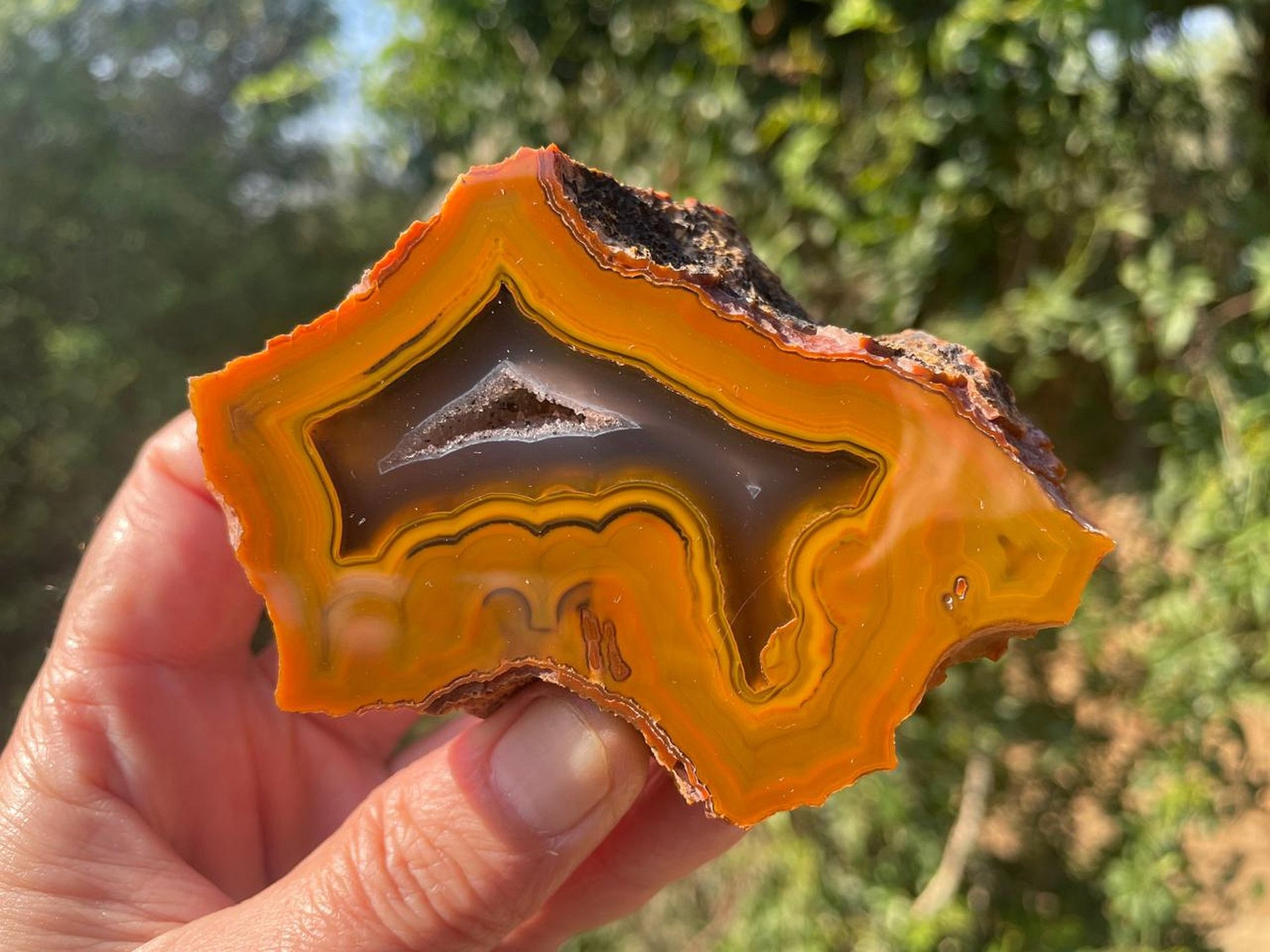Lilangabi agate 88mm – in-hand, fortification banding and scalloped band edges visible | SKU LIL00021
