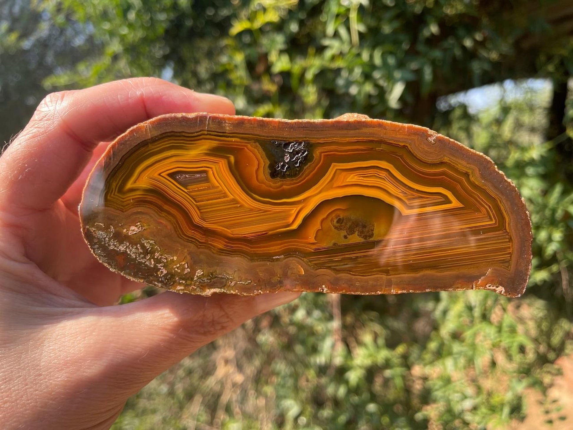 Lilangabi agate 117 mm – in-hand view, scalloped banding, amber and golden yellow tones, Eswatini | SKU LIL00024