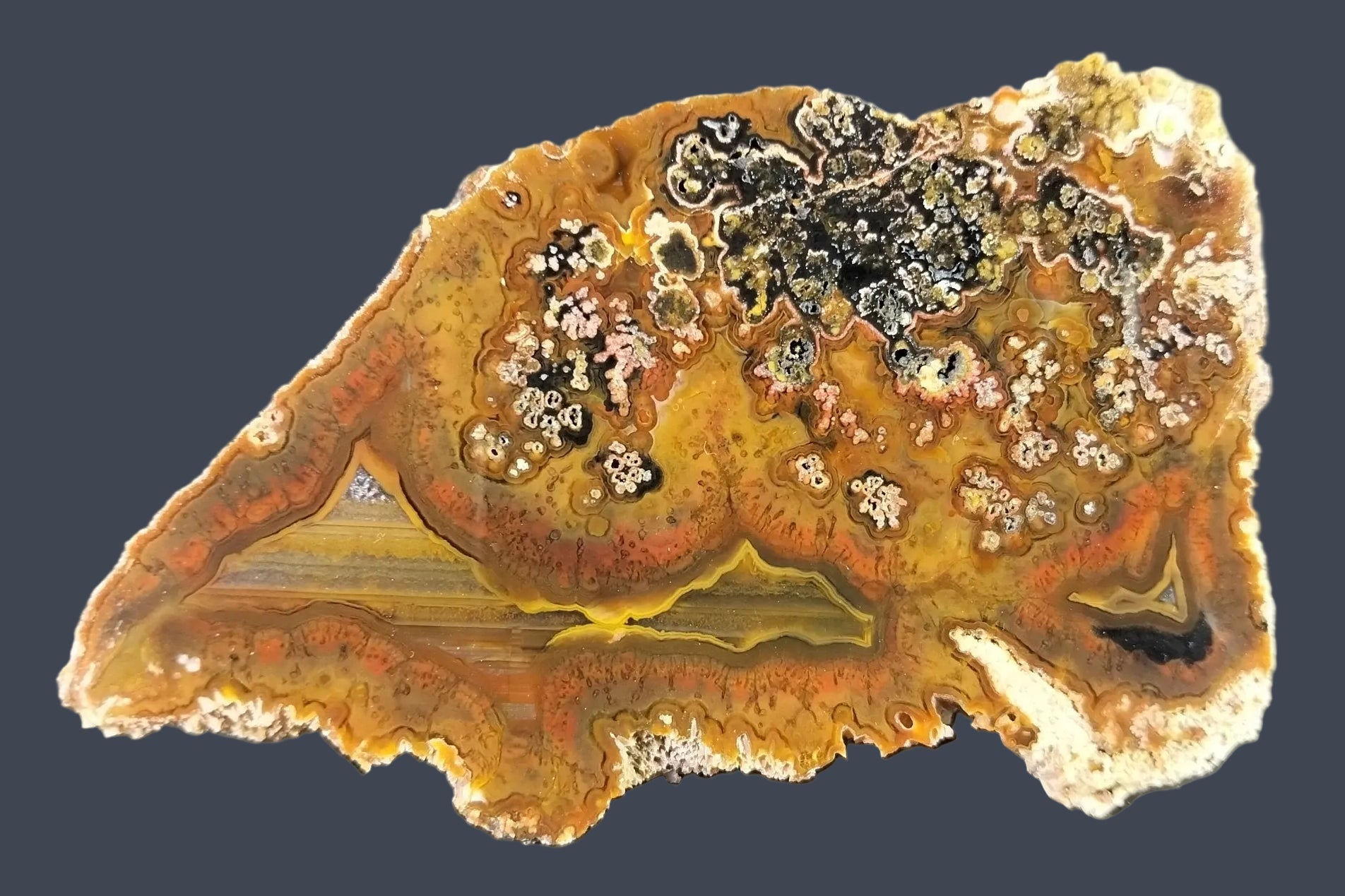 Lilangabi agate 107 mm – front face, plume inclusions in pink-white and black-green, multi-chambered structure, amber-sard ground, Eswatini | SKU LIL00028