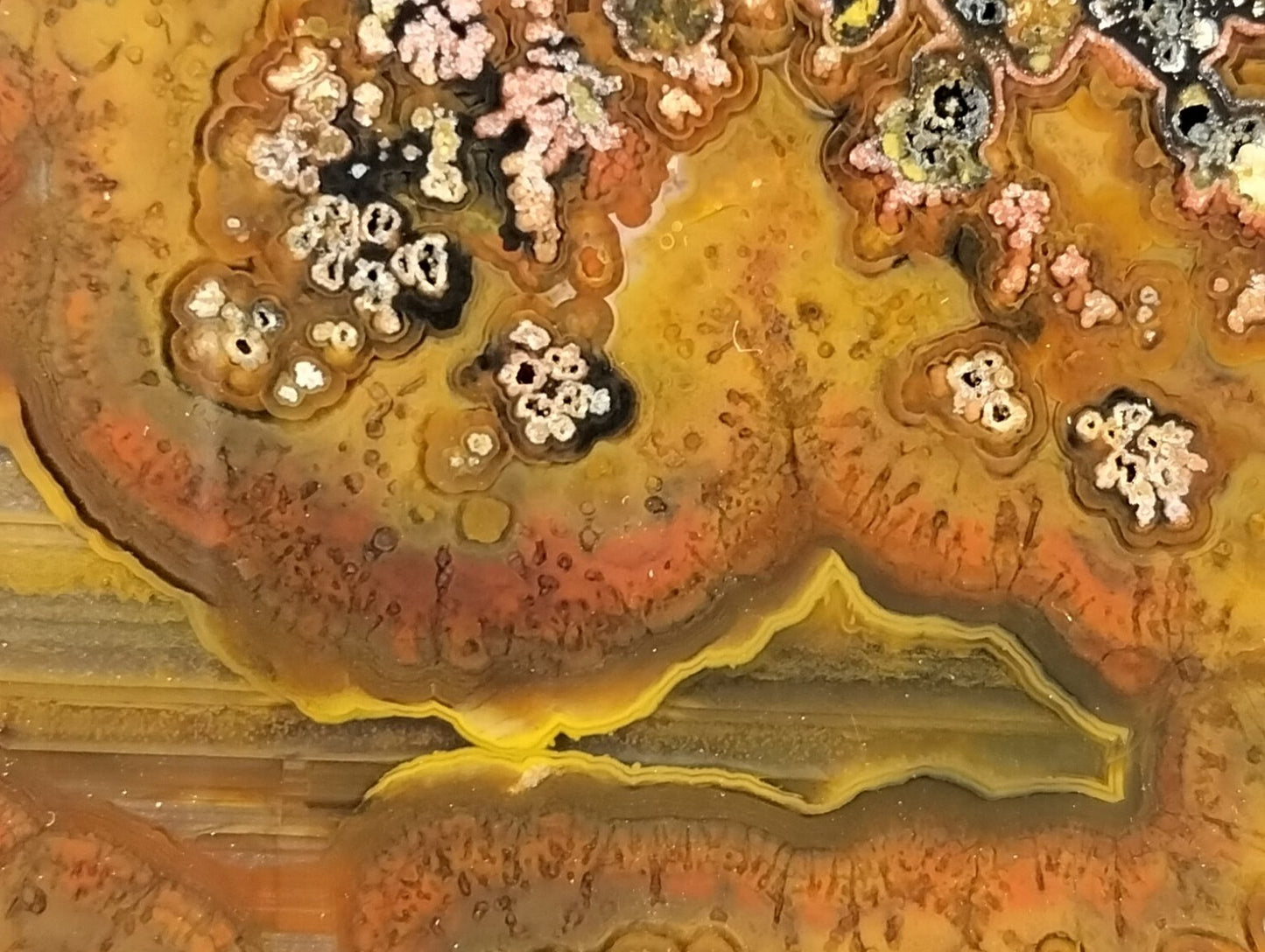  Lilangabi agate 107 mm – close-up of plume inclusions, multi-chambered lobes, waterlines in amber ground | SKU LIL00028