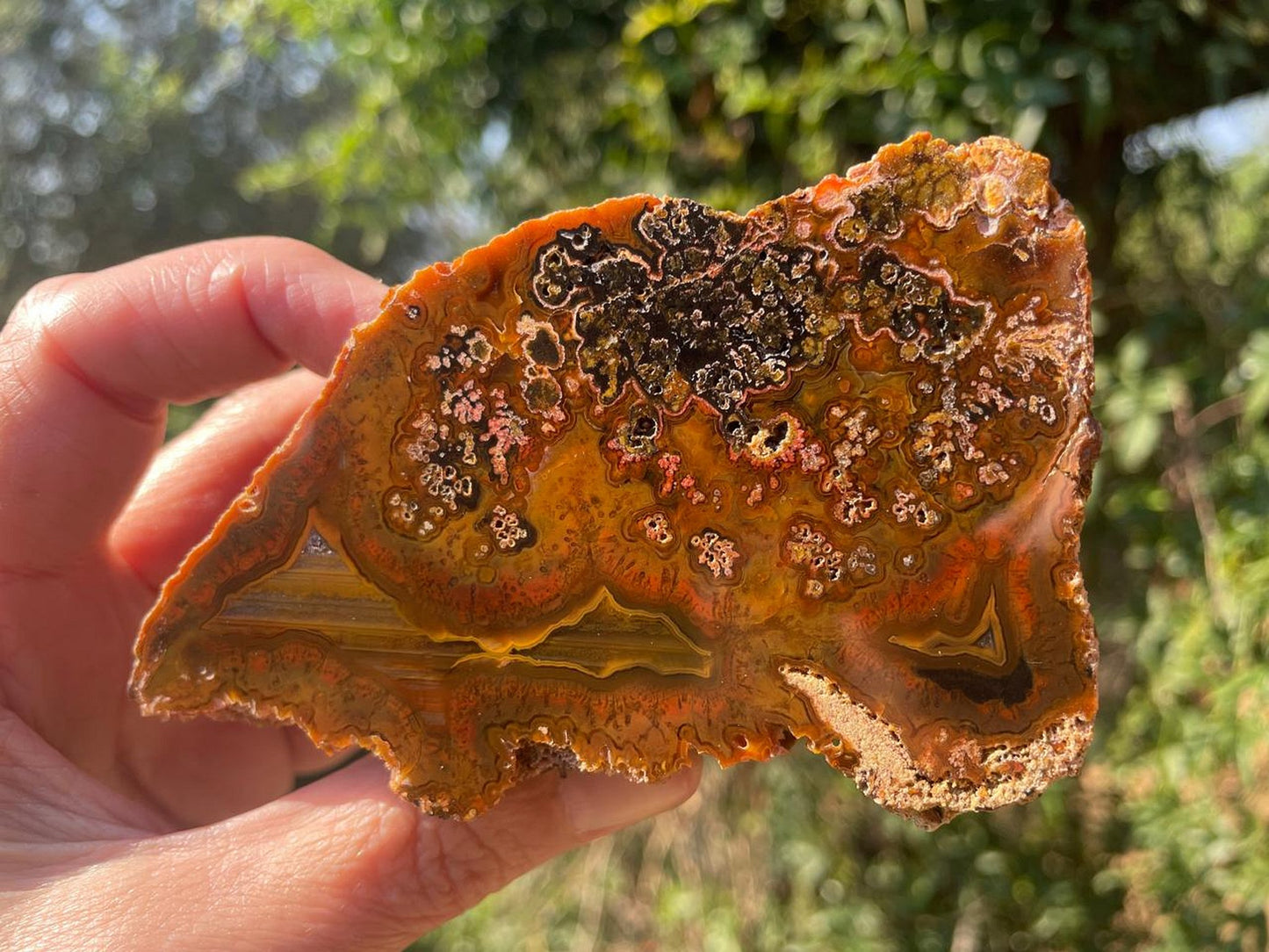Lilangabi agate 107 mm – in-hand view, plume inclusions, multi-chambered structure, amber-orange palette, Eswatini | SKU LIL00028