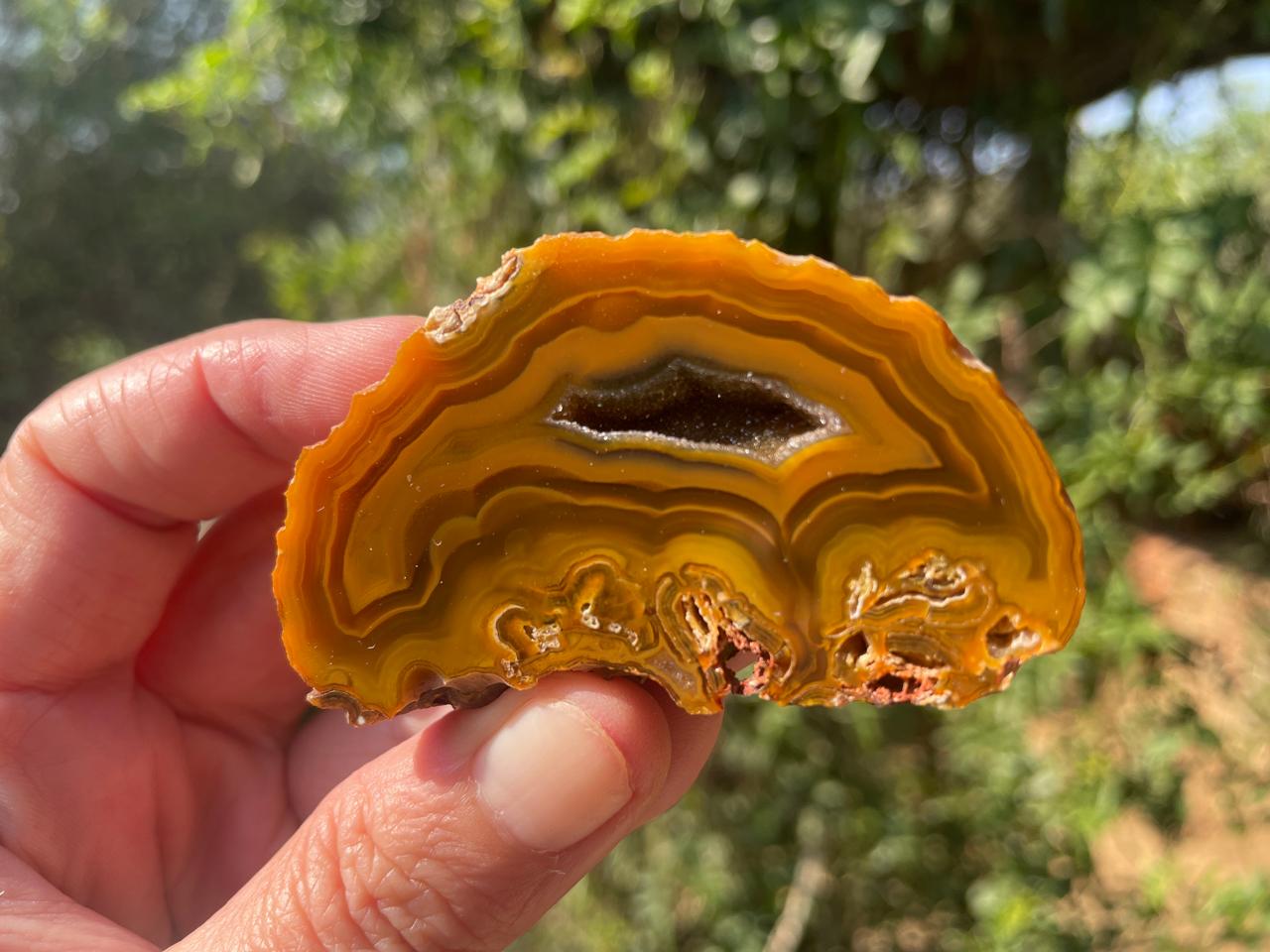 Lilangabi agate 63 mm – in-hand view, druzy vug, scalloped banding, amber-golden-orange palette, Eswatini | SKU LIL00031