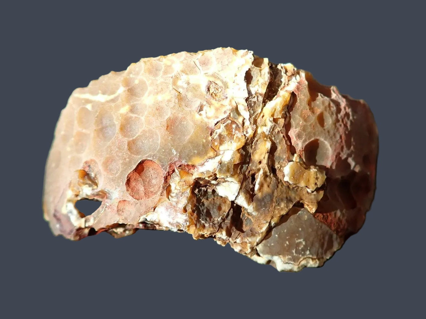 Lilangabi agate 63 mm – back view, natural rind, Eswatini | SKU LIL00031 