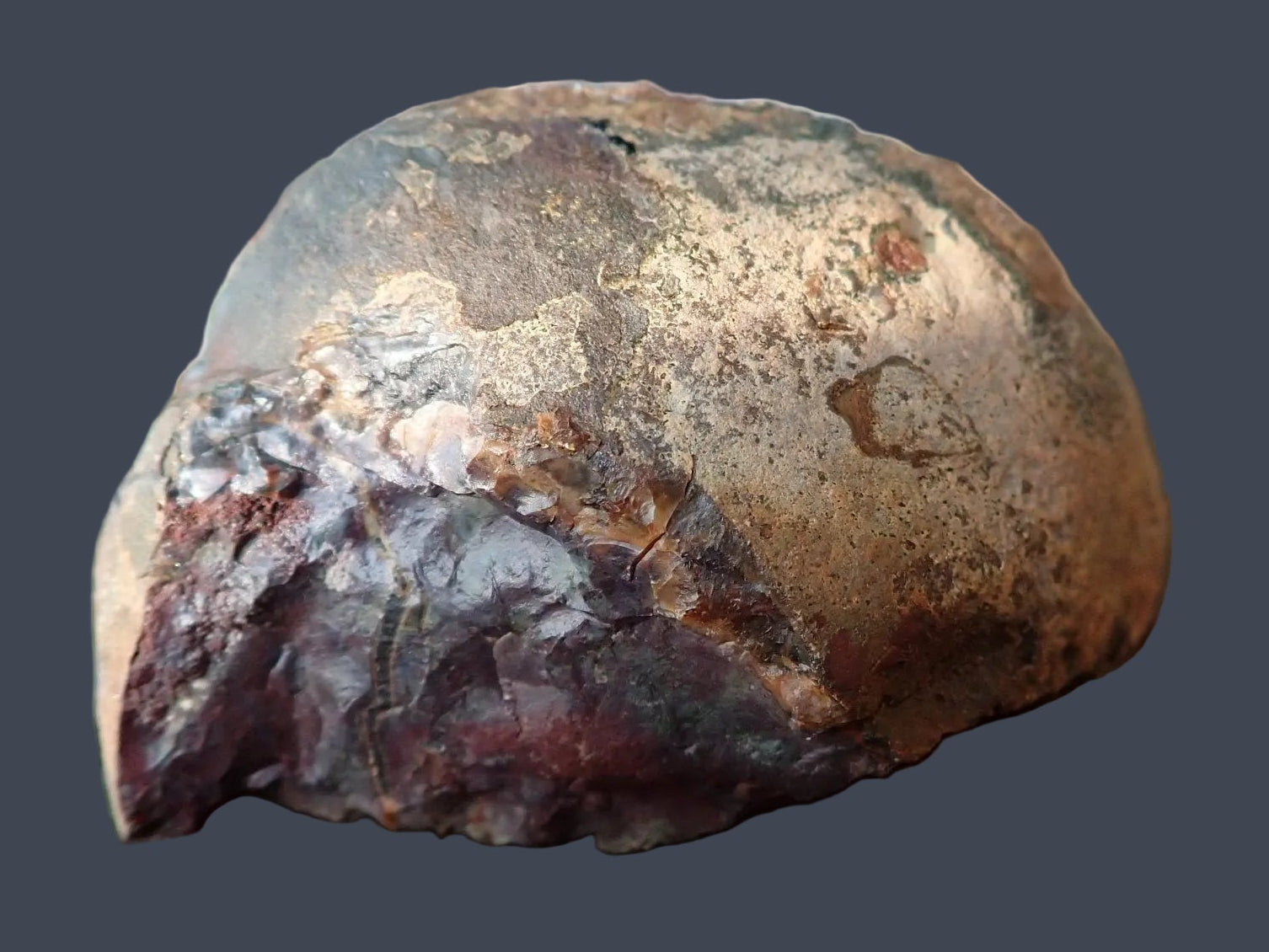 Lilangabi agate 87 mm – back view, natural rind, Eswatini | SKU LIL00032
