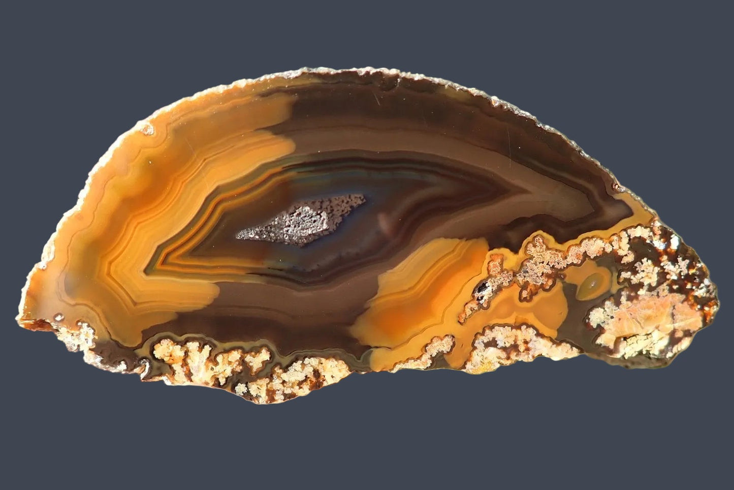 Lilangabi agate 88 mm – front face, chromatism across amber-orange to blue-grey banding, plume inclusions, Eswatini | SKU LIL00033