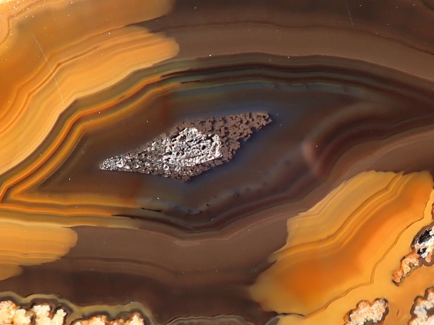 Lilangabi agate 88 mm – close-up of chromatism, colour-shifting bands from amber-orange through chocolate-brown to blue-grey, plume inclusions | SKU LIL00033