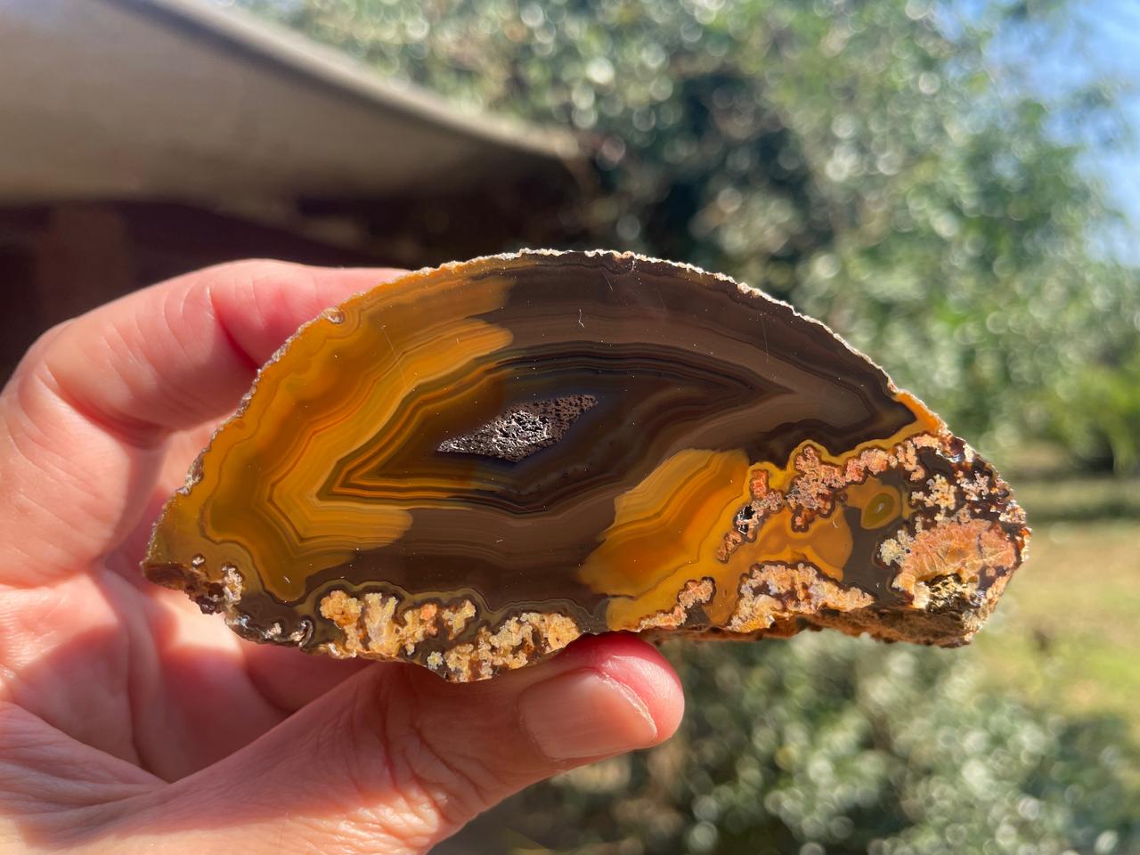 Lilangabi agate 88 mm – in-hand view, chromatism, plume inclusions, amber-orange and brown palette, Eswatini | SKU LIL00033