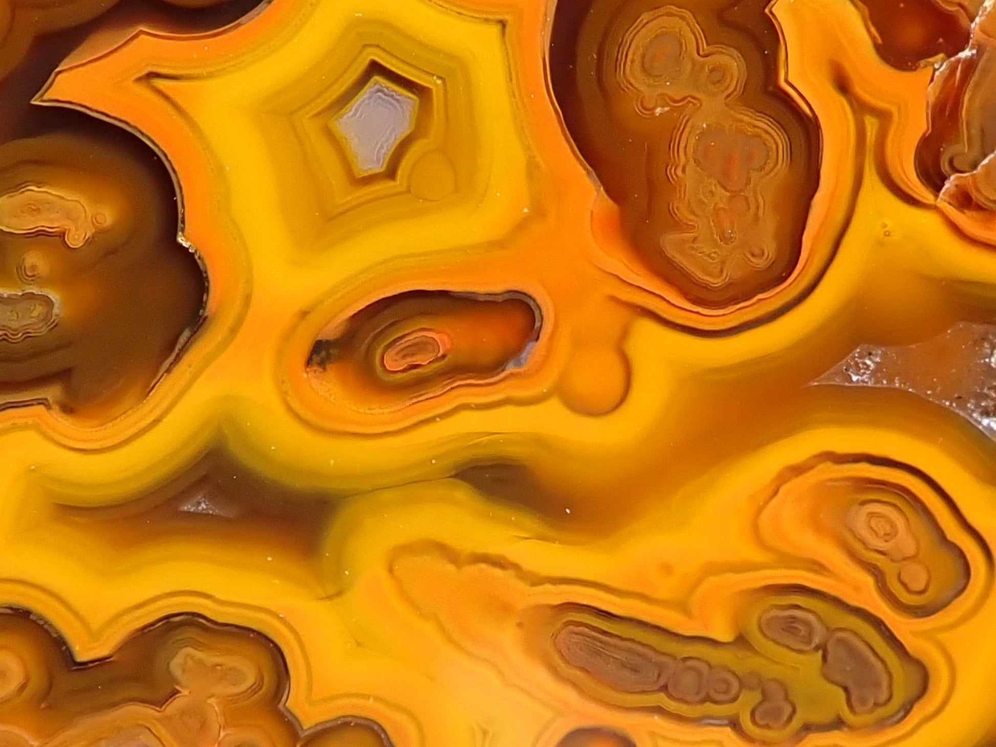 Lilangabi agate 110 mm – close-up of multi-chambered structure, fortification banding in central chamber, agate eyes, amber-golden palette | SKU LIL00036