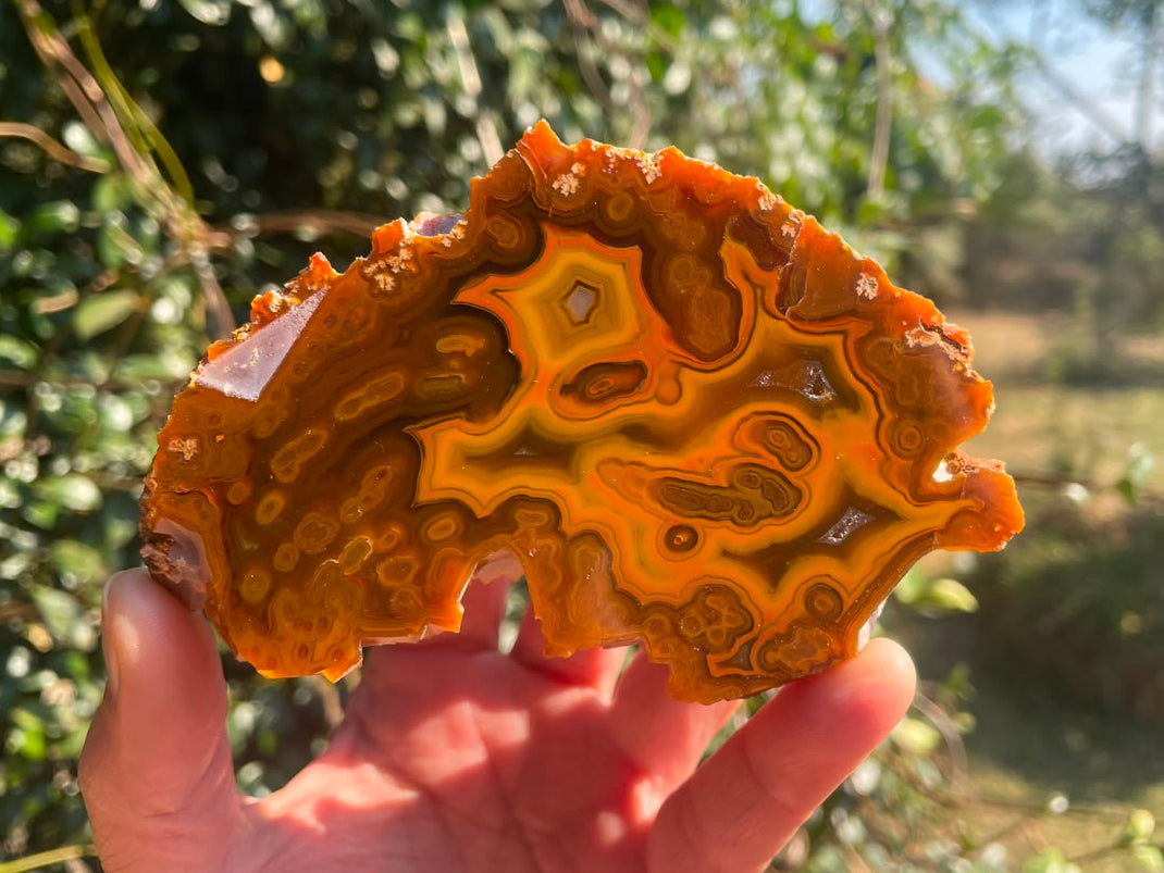 Lilangabi agate 110 mm – in-hand view, multi-chambered structure, fortification banding, agate eyes, vivid amber-orange palette, Eswatini | SKU LIL00036