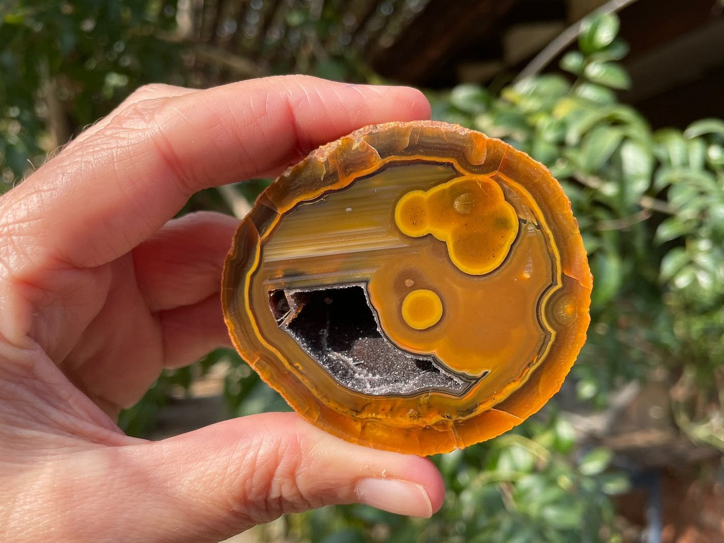 Lilangabi agate 66 mm – in-hand, agate eyes, waterlines, goethite needles in vug, fiery amber-orange palette