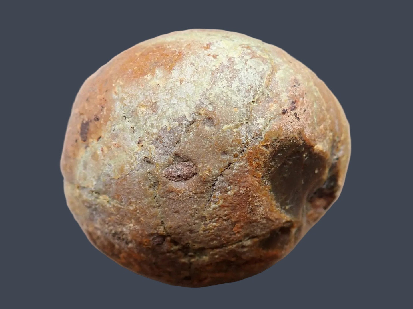 Lilangabi agate 66 mm – back view, natural rind, Eswatini