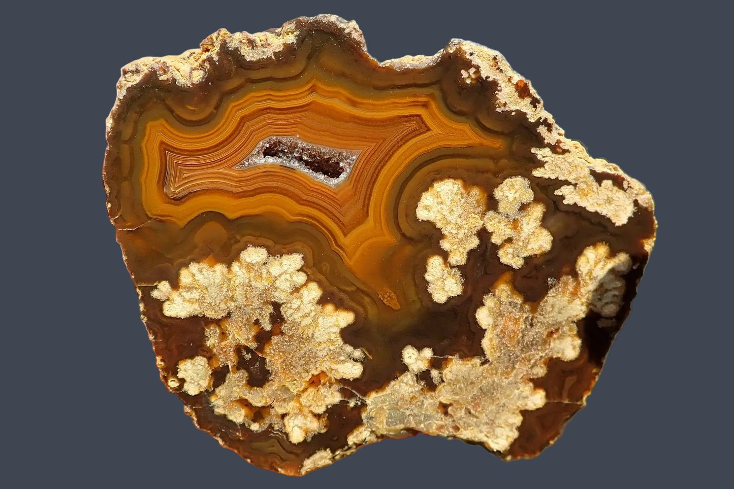 Lilangabi agate 79 mm – front view, dendritic inclusions, fortification banding, druzy vug, Eswatini