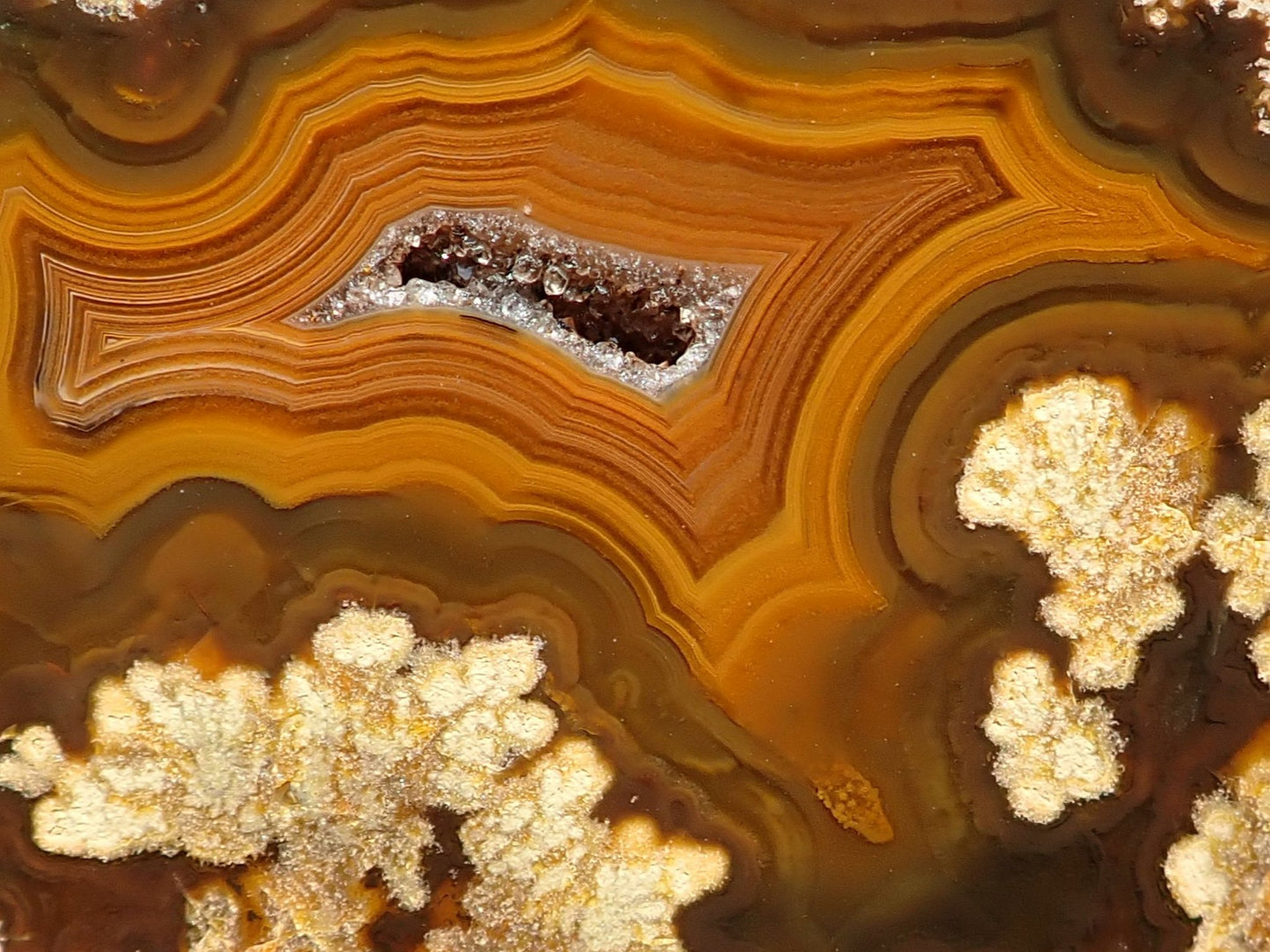  Lilangabi agate 79 mm – face detail, golden dendritic inclusions, angular fortification banding, amber-sard palette