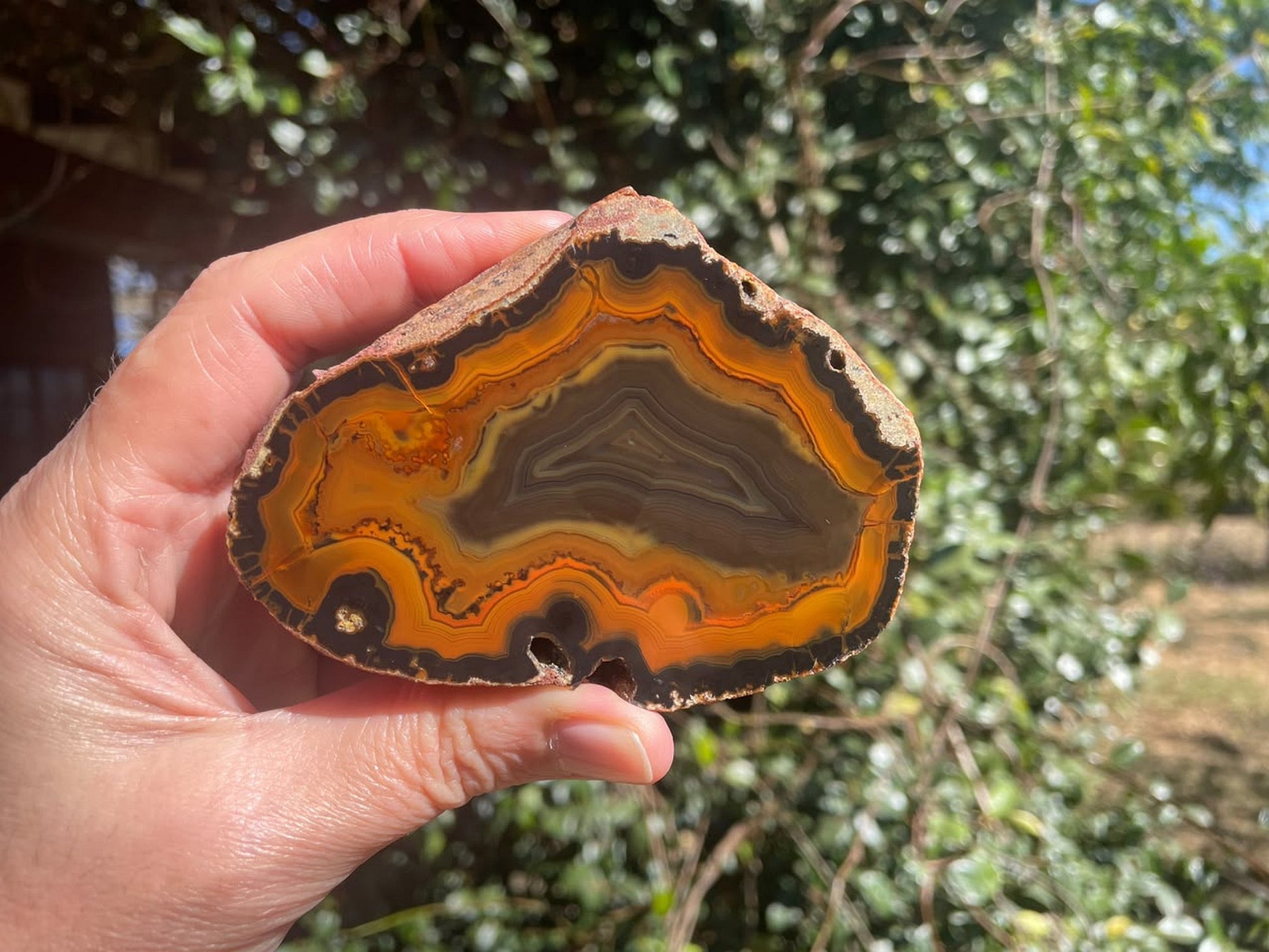 Lilangabi agate 91 mm – in-hand size reference, perimorphs, fortification banding, Eswatini