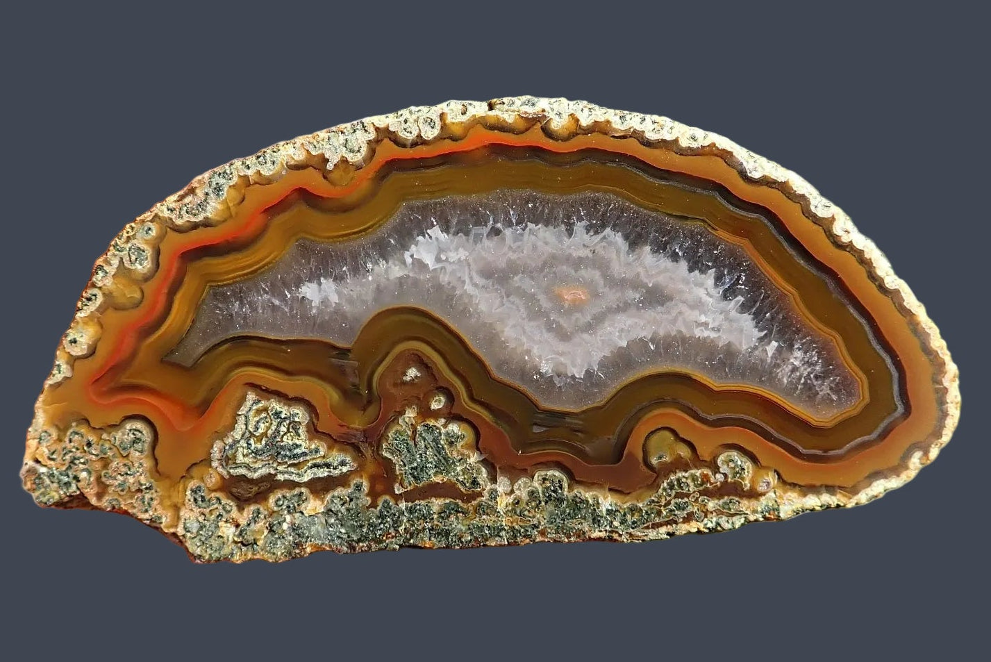 Lilangabi agate 70 mm – front view, floater, fortification banding, carnelian-orange outer band, dendritic inclusions, Eswatini