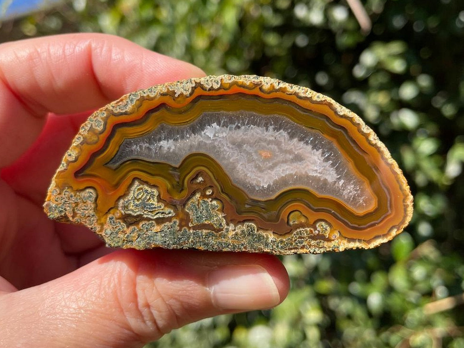 Lilangabi agate 70 mm – in-hand size reference, floater, fortification banding, Eswatini