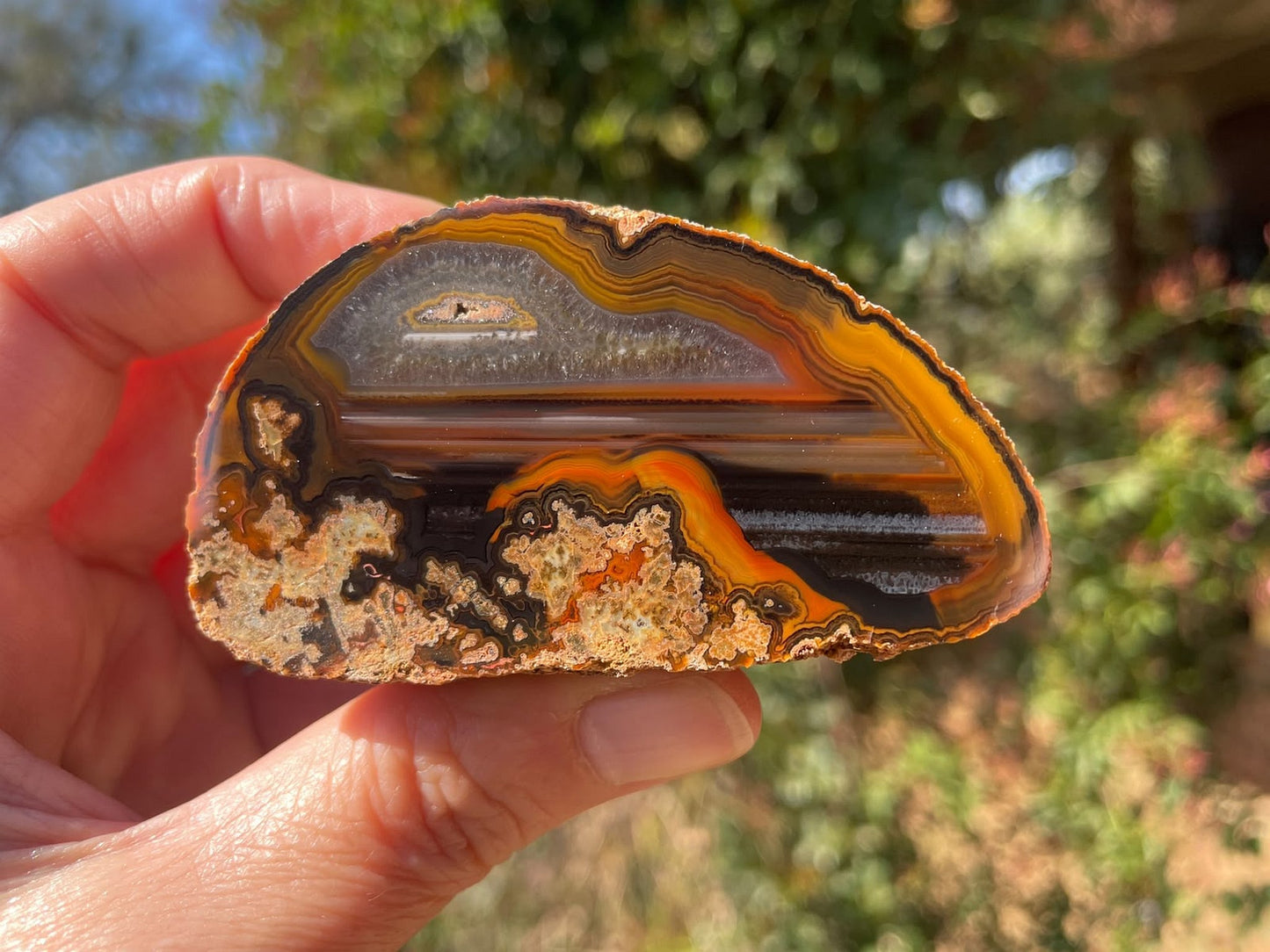 Lilangabi agate 74 mm – in-hand size reference, chromatography, waterlines & floater, Eswatini