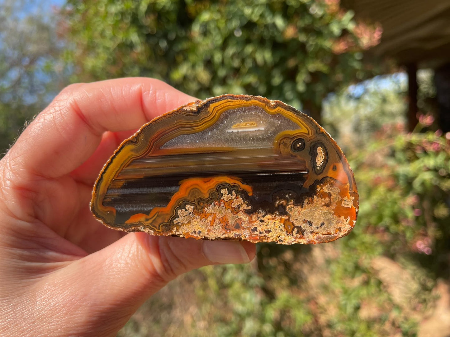 Lilangabi agate 77 mm – in-hand size reference, chromatography, waterlines & floater, Eswatini