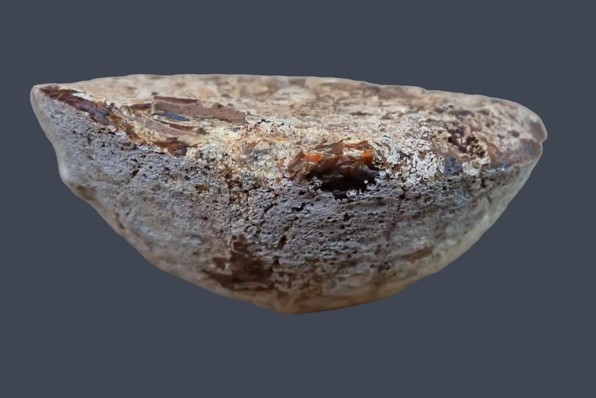 Lilangabi agate 77 mm – back view, natural rind, Eswatini