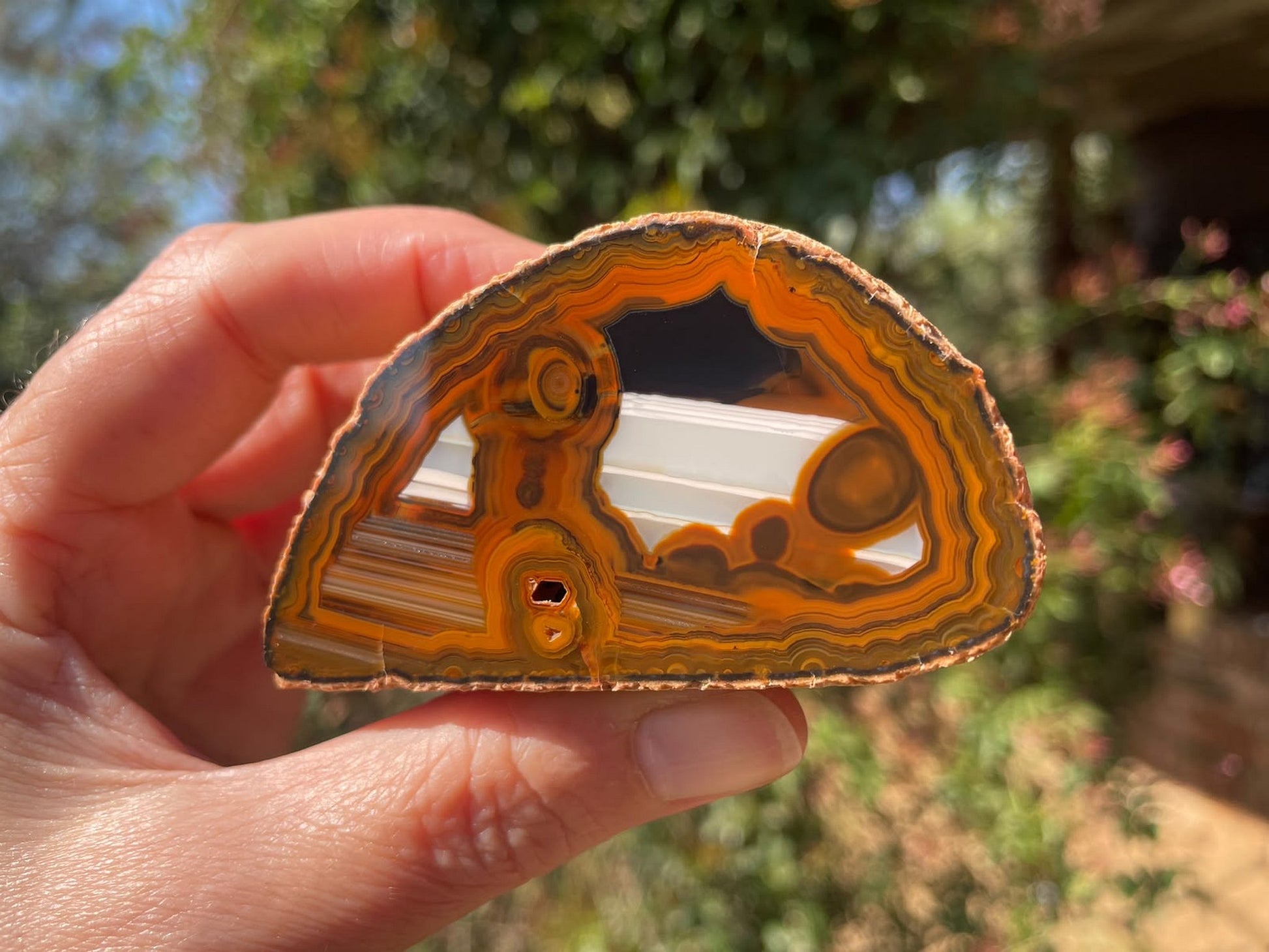 Lilangabi agate 73 mm – in-hand size reference, eyes, chromatography & fortification banding, Eswatini