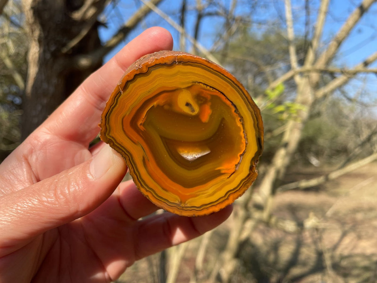 Lilangabi agate 56 mm – in-hand size reference, pareidolia & chromatography, Eswatini