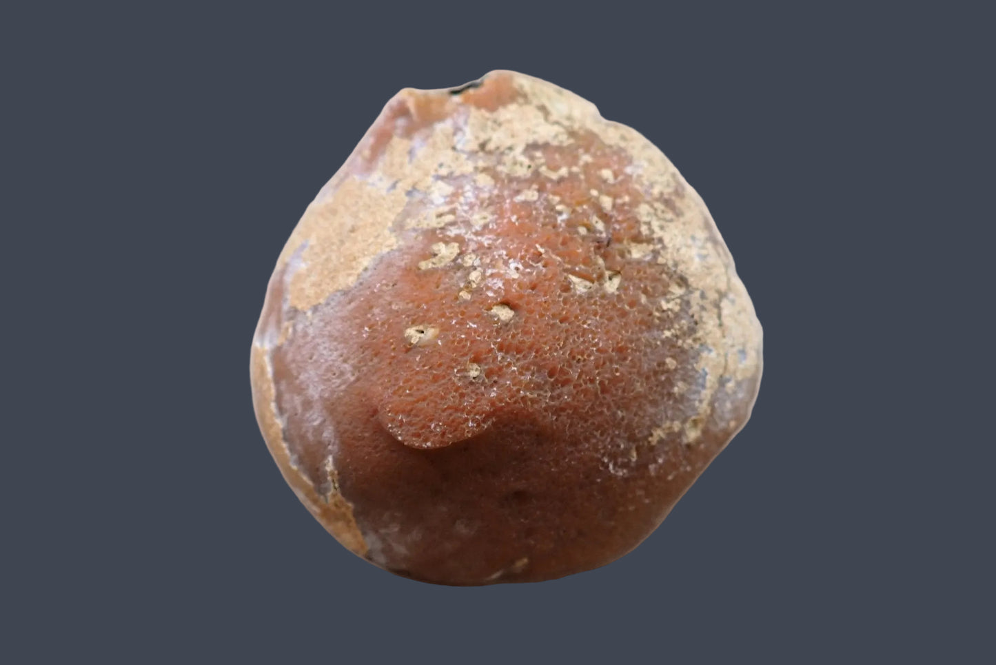 Lilangabi agate 84 mm – back view, natural rind, Eswatini