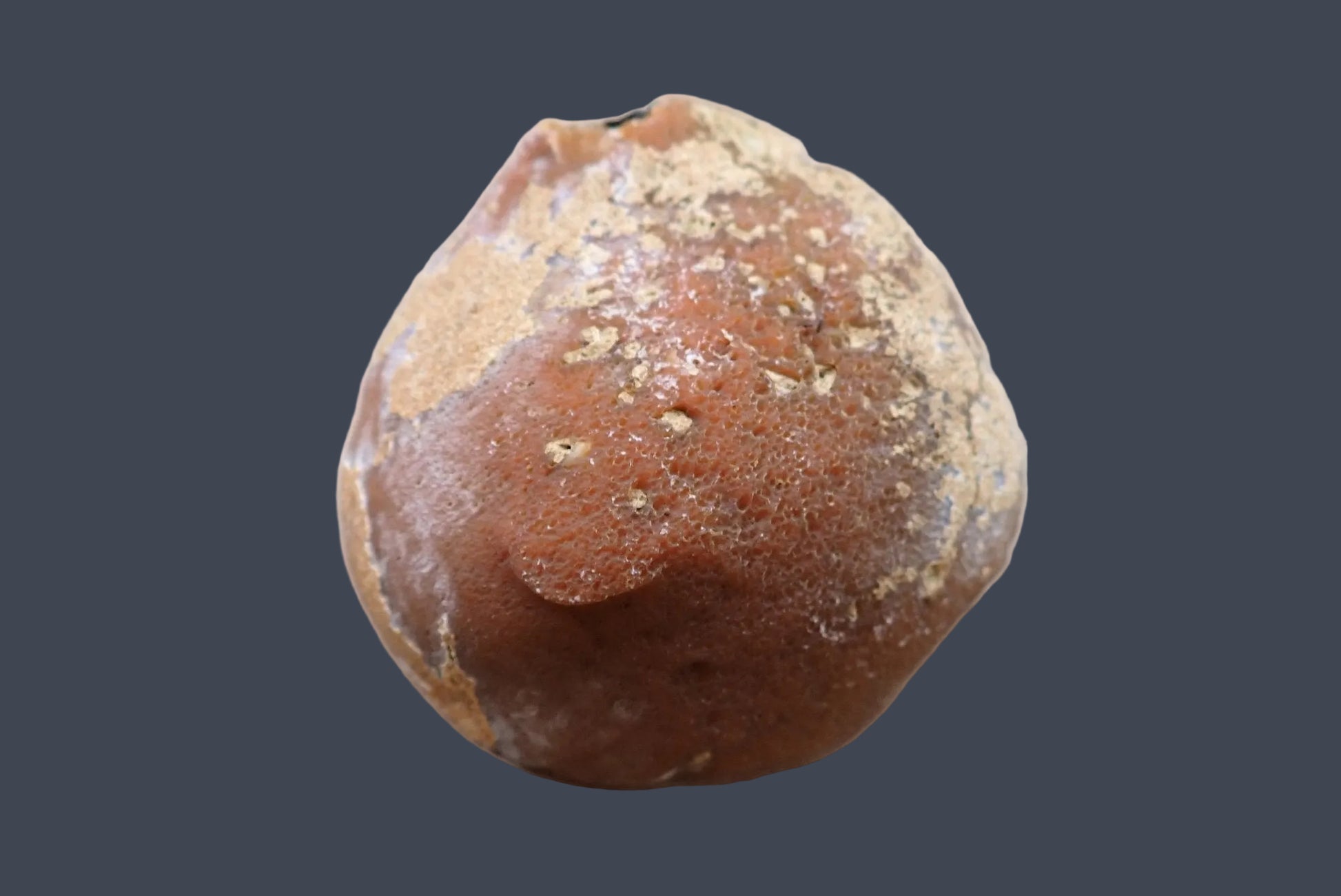 Lilangabi agate 84 mm – back view, natural rind, Eswatini