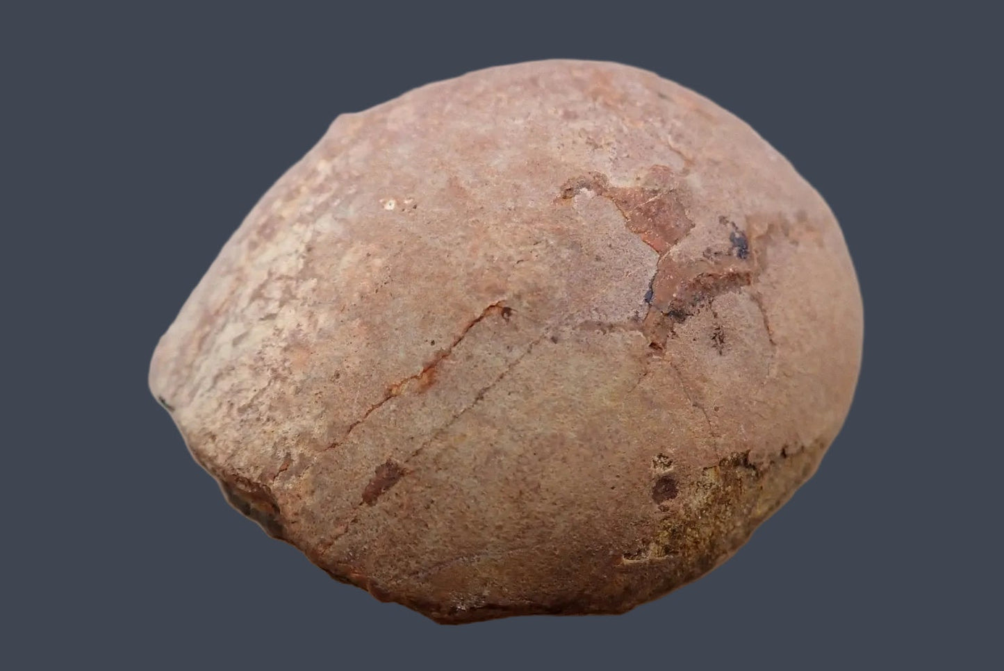 Lilangabi agate 67 mm – back view, natural rind, Eswatini
