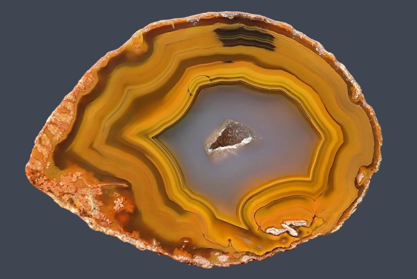 Lilangabi agate 68 mm – face view, flow channel, chromatography banding black to amber, fortification banding