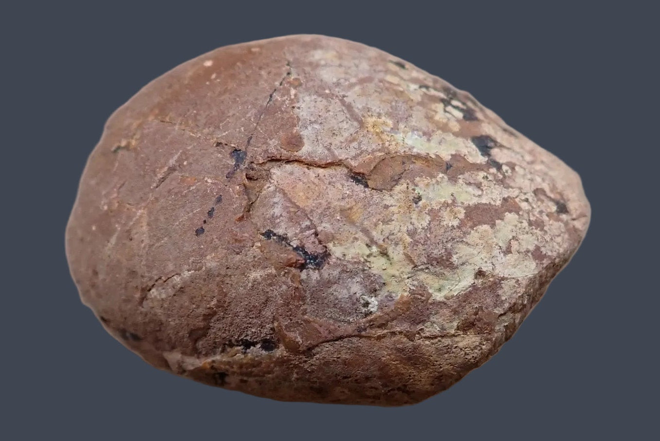 Lilangabi agate 68 mm – back view, natural rind