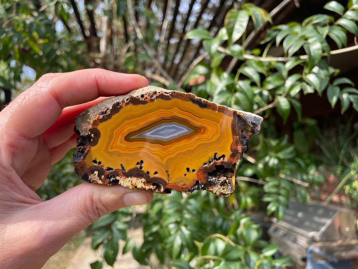 Lilangabi agate 87 mm – in-hand size reference, fortification banding, perimorphs visible along lower edge