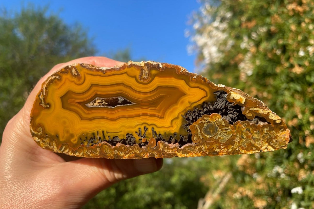 Lilangabi agate 127 mm – in-hand size reference, fortification banding, dark mineral inclusions along lower margin