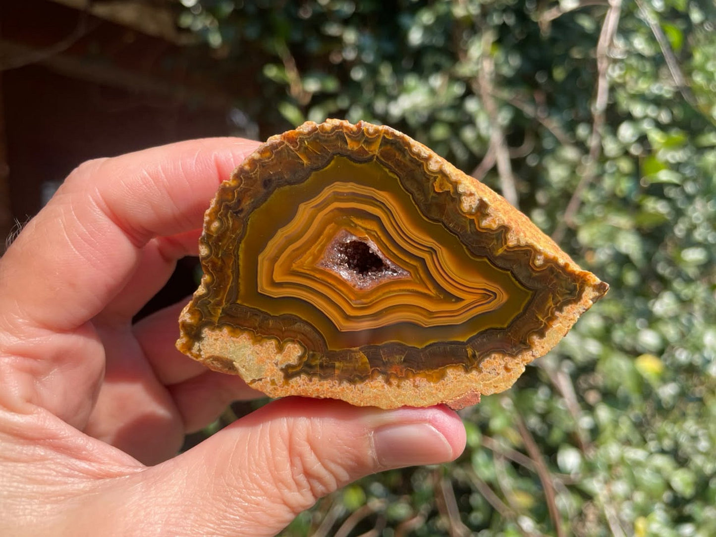 Lilangabi agate 75 mm – in-hand size reference, warm amber and chocolate-brown banding, amethyst drusy vug