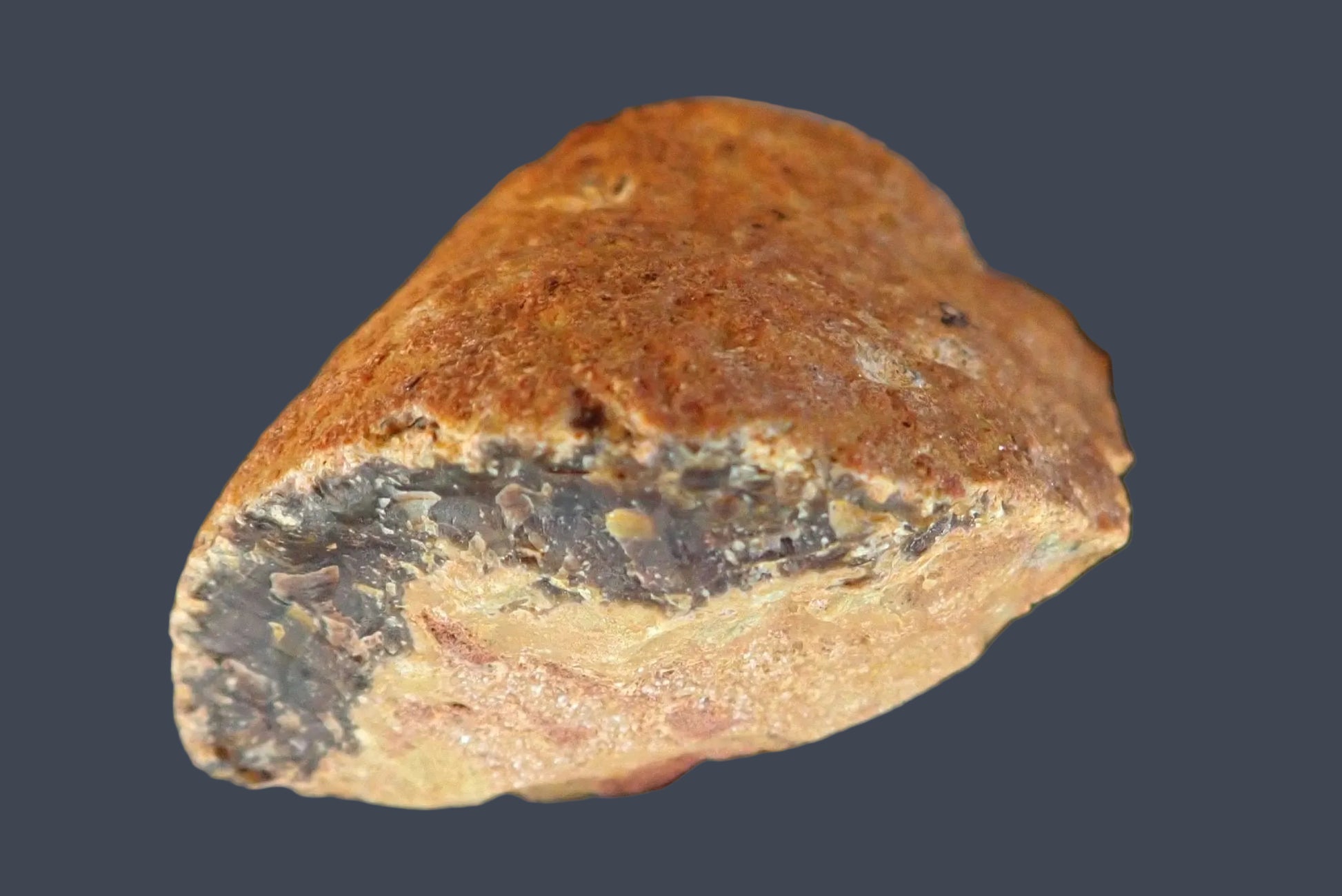 Lilangabi agate 75 mm – back view, natural rind, Eswatini