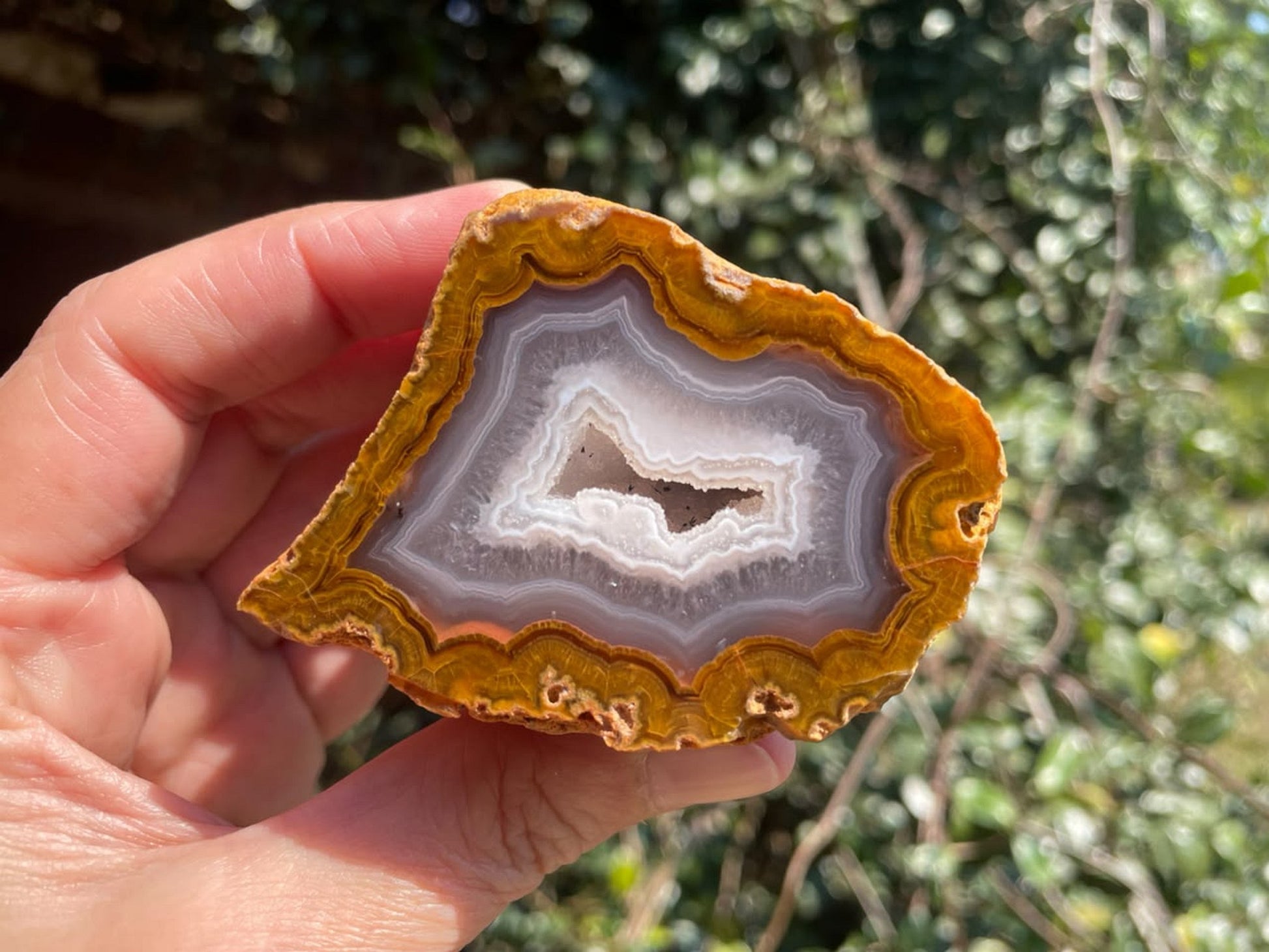 Lilangabi agate 70 mm – in-hand size reference, fortification banding, amber and golden-ochre tones, floater with internal drusy vug