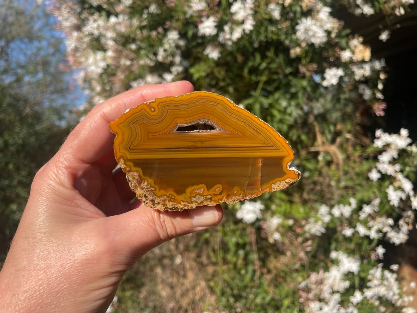 Lilangabi agate 86 mm – in-hand size reference, fortification banding and waterlines, Eswatini
