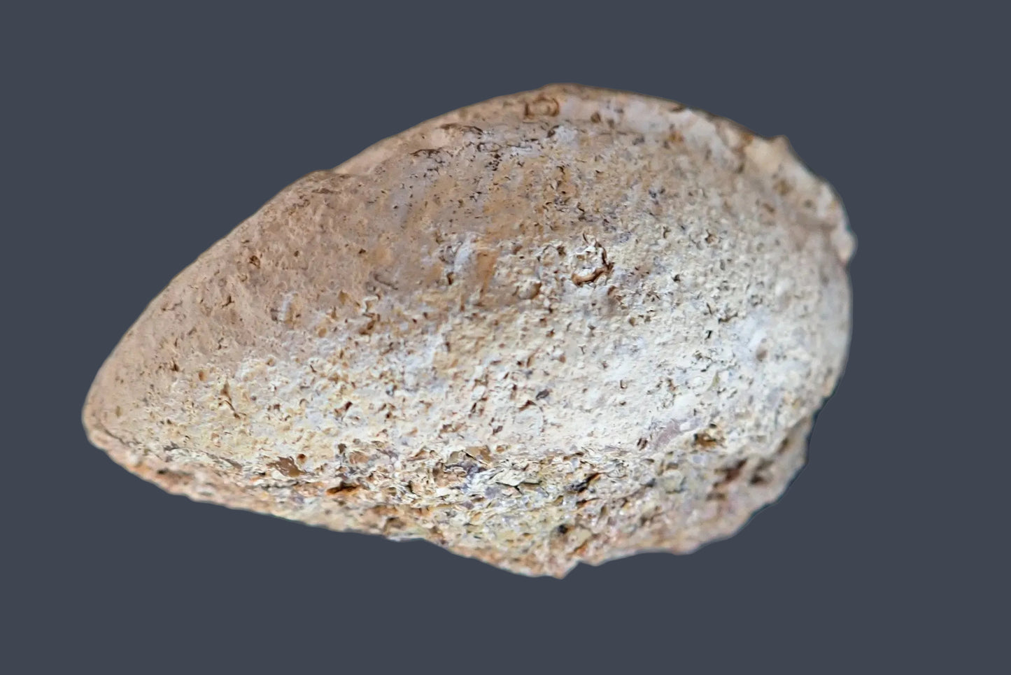 Lilangabi agate 86 mm – back view, natural rind, Eswatini