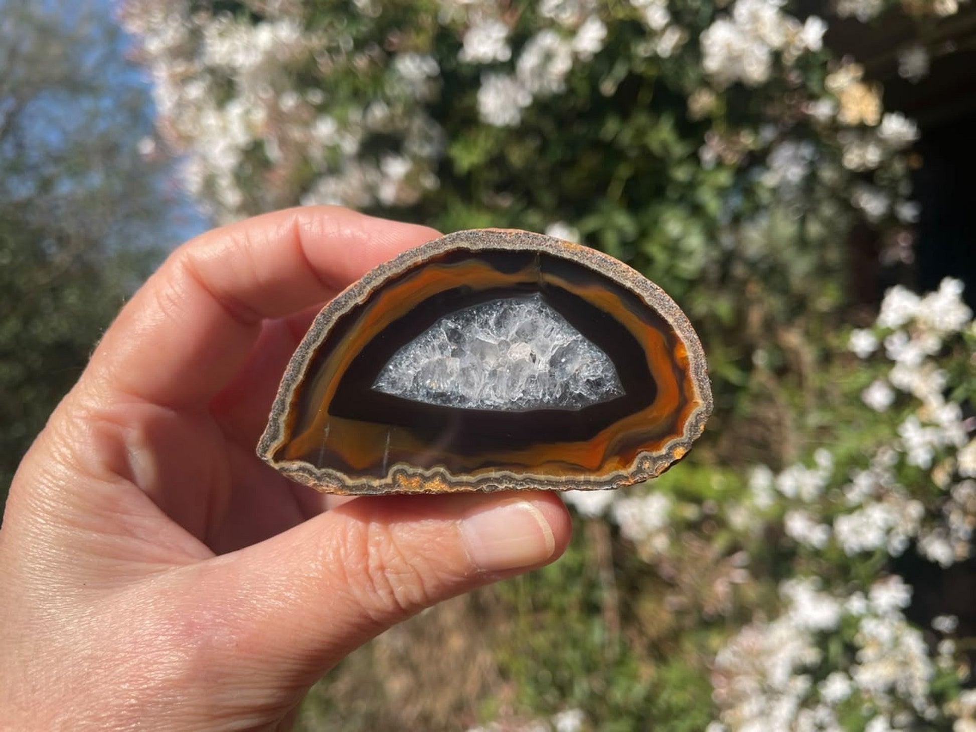 Lilangabi agate 67 mm – in-hand size reference, chromatography and bold concentric banding visible