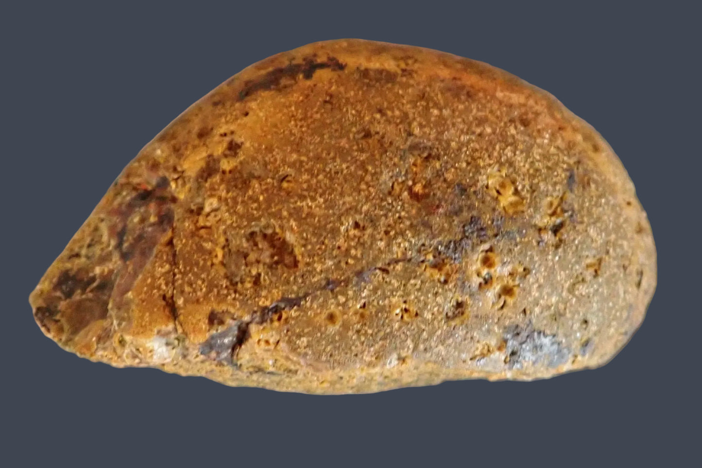 Lilangabi agate 86 mm – back view, natural rind, Eswatini