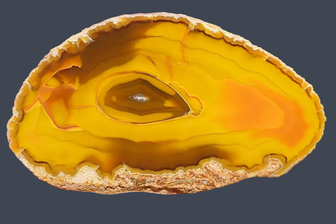 Lilangabi agate 86 mm – front face, iron chromatography, deep golden amber and burnt orange banding, Lebombo Mountains