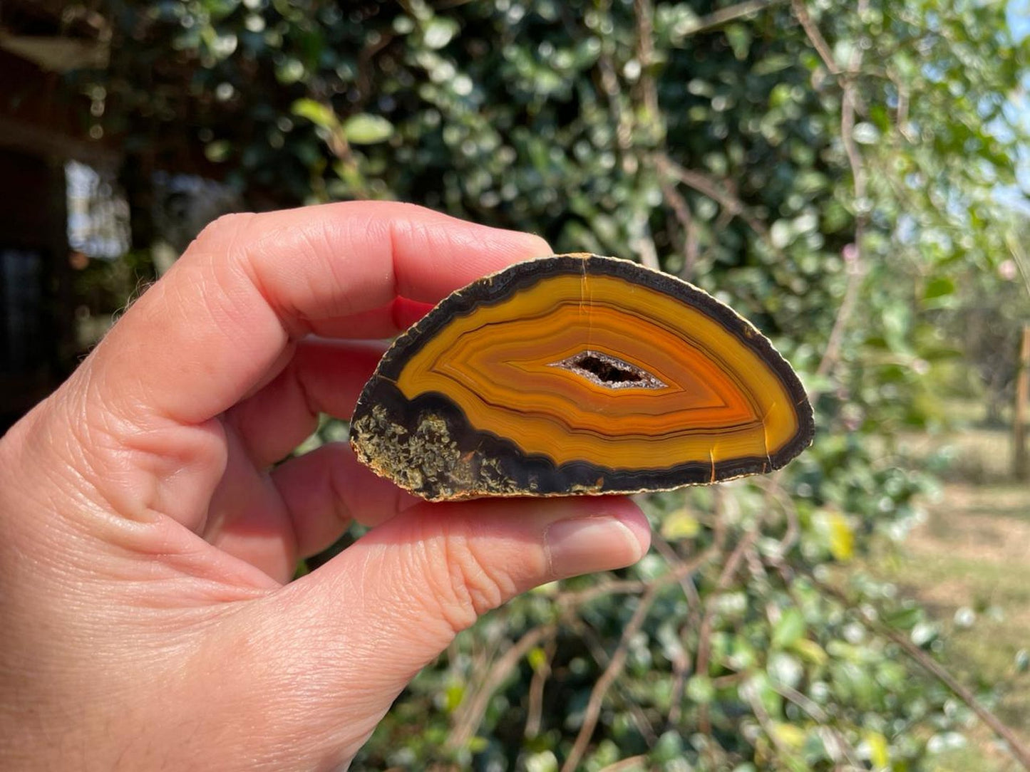 Lilangabi agate 67 mm – in-hand size reference, fortification banding, chromatography, Lebombo Mountains
